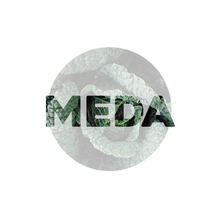 Meda